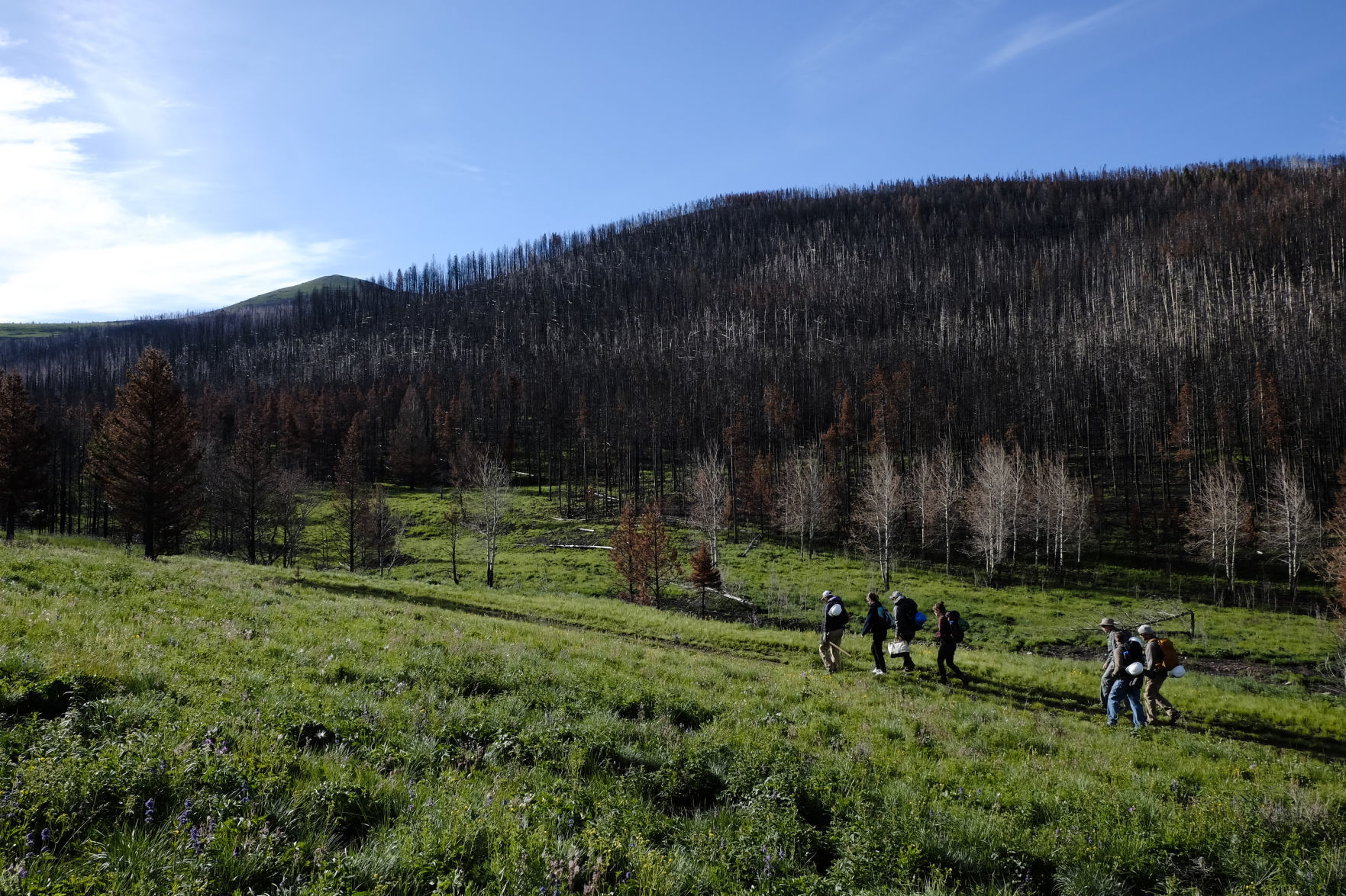 The crew of volunteers start hiking